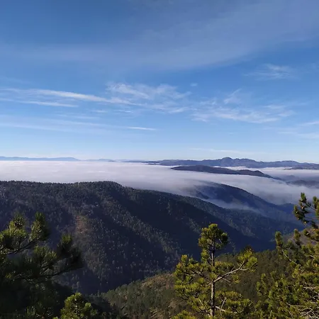Vitko Divcigora شقة