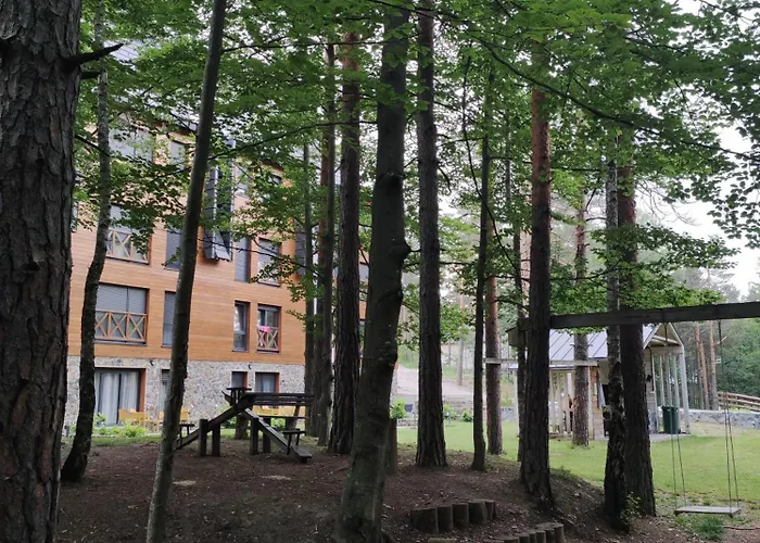 Vitko Divcigora Divčibare