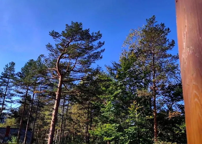 Vitko Divcigora * Divčibare