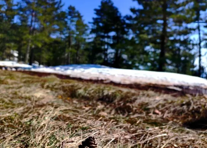 Vitko Divcigora Apartman *