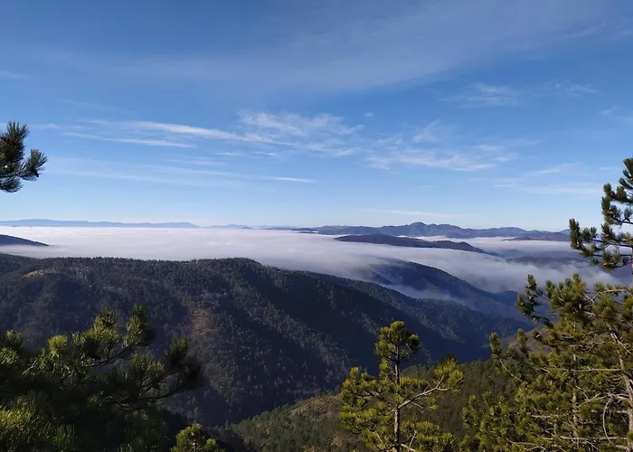 Vitko Divcigora Apartman